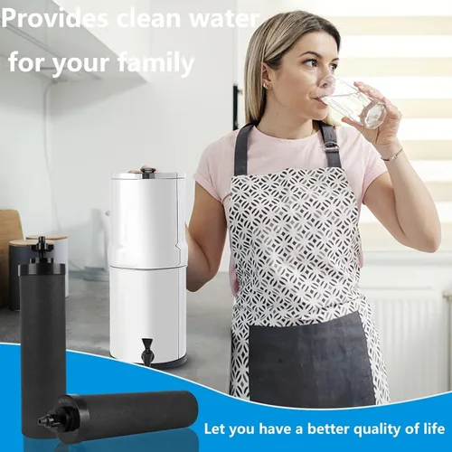 Miniatura 6 de Filtro de agua de repuesto con infusión de plata para sistema de filtros de bloque de carbono negro Berkey® BB9-2®, compatible con elementos