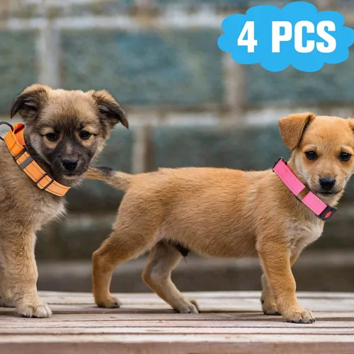 Miniatura 6 de 4 collares Martingale para perros, multicolor, gargantilla para perros pequeños, collar de cachorro para entrenamiento de cachorros