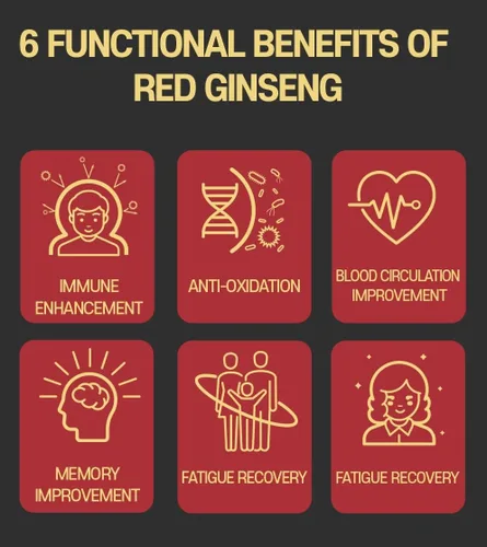 Miniatura 6 de SAMSIDAE Extracto de ginseng rojo coreano de oro 8.47 oz 6 años (13 mg/g), extracto de ginseng rojo 100% coreano - Aumenta la inmunidad y promueve