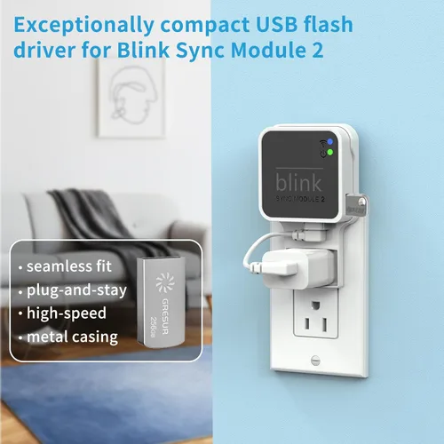 Miniatura 2 de Unidad flash USB de 256 GB para almacenamiento de video local con el soporte Blink Sync Module 2 (Blink Add-On Sync Module 2 no está incluido)