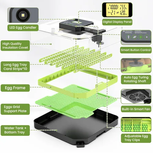 Miniatura 8 de Incubadora de 48 huevos para incubar huevos con giro automático de huevos, control de temperatura y humedad, incubadora de huevos con ventana