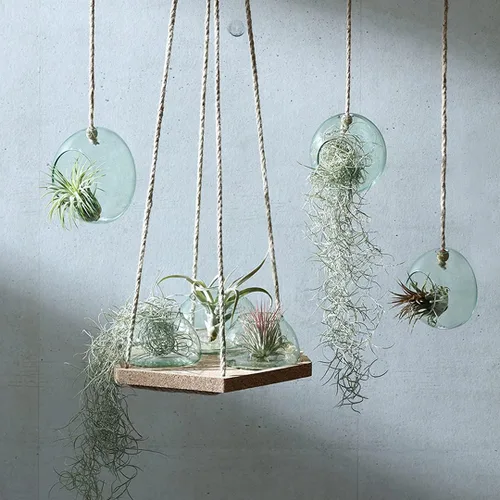 Miniatura 4 de LSA International Maceta de jardín cerrada de 6.5 pulgadas, jarrón moderno de vidrio reciclado hecho a mano de lujo con base abovedada y tapa