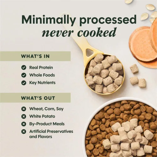 Miniatura 5 de Instinct Raw Boost Mixers Multivitamínico para Perros Adultos Aderezo de Comida Liofilizada, Bolsa de 5.5 oz