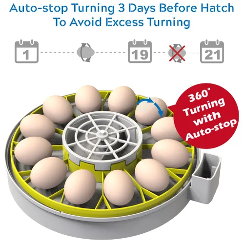 Miniatura 6 de KEBONNIXS Incubadora de 12 huevos con pantalla de humedad, velador de huevos, girador automático de huevos, para incubar pollos