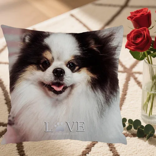 Miniatura 5 de One Photo Personalized Throw Pillow Case Where Your uploaded Image and Text Form a Unique Home décor Piece That Provides Warm Emotional Value and