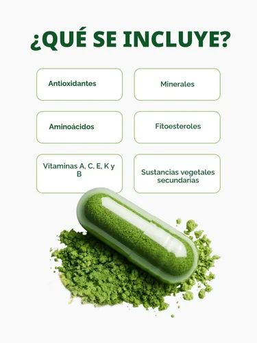 Miniatura 7 de PURA VIDA MORINGA Cápsulas de polvo de Moringa de origen único orgánico. Hoja pura de Moringa. Energía, metabolismo y apoyo inmunológico. 120