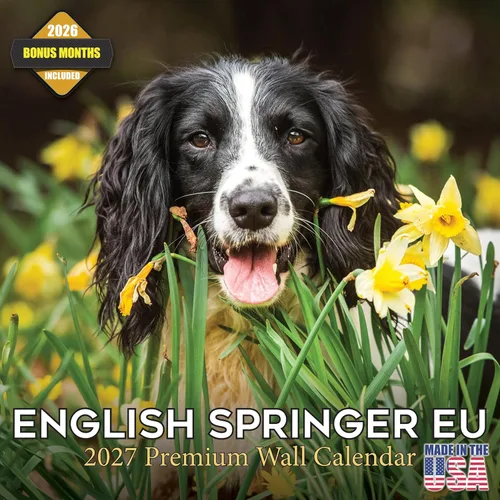 Miniatura 106 de Calendario 2025 2026 de cachorros Cocker Spaniel - Calendario mensual de pared de raza de perro - 12" x 24" abierto - Papel grueso sin sangrado