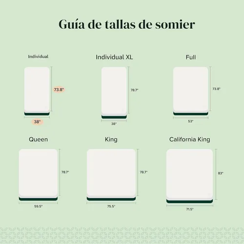 Miniatura 8 de ZINUS Queen Base para colchón de montaje fácil y rápido con enganche, reemplazo de somier y base para la cama, marco de metal con listones de acero