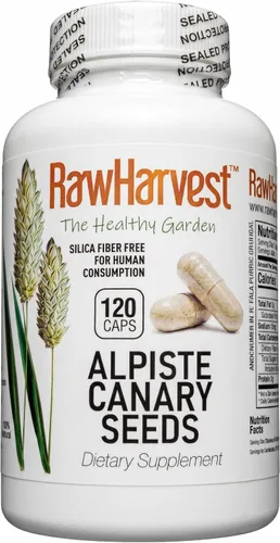 Raw jardín semillas para canarios, alpiste, 120 °Cápsulas de sílice última intervensión de fibra, para el consumo humano