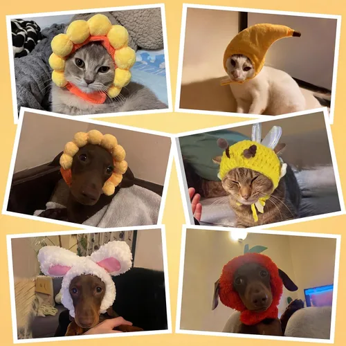 Miniatura 7 de Weewooday 5 sombreros de gato, disfraz de conejo con orejas, perros pequeños, gatito, cachorro, fiesta de Pascua, accesorio para la cabeza