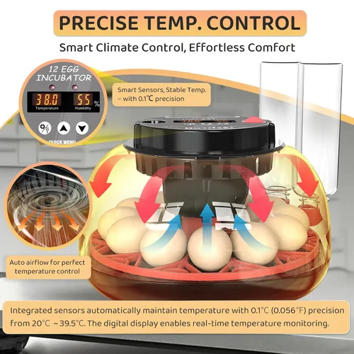 Miniatura 3 de Incubadora de 12 huevos para incubar huevos con giro de huevos completamente automático, control de humedad por botellas, incubadoras para pollo