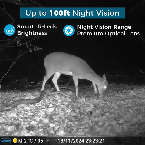Miniatura 3 de Meidase Trail Camera P80 Pro WiFi Bluetooth (no celular), sensibilidad a la luz súper baja, ángulo de visión de 110°, cámara de juego de 48MP 1296p