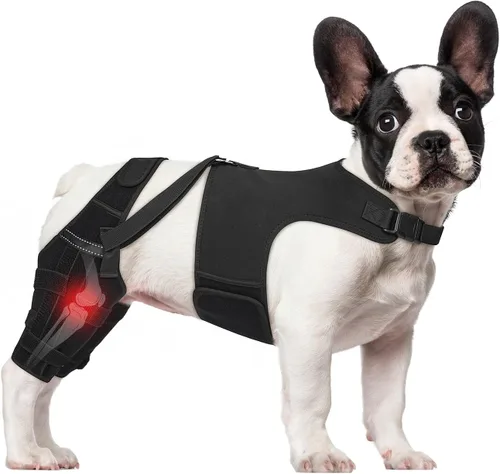 Rodillera para perro para piernas traseras desgarradas del ligamento cruzado anterior con chaleco, soporte ajustable para piernas de perro con 4
