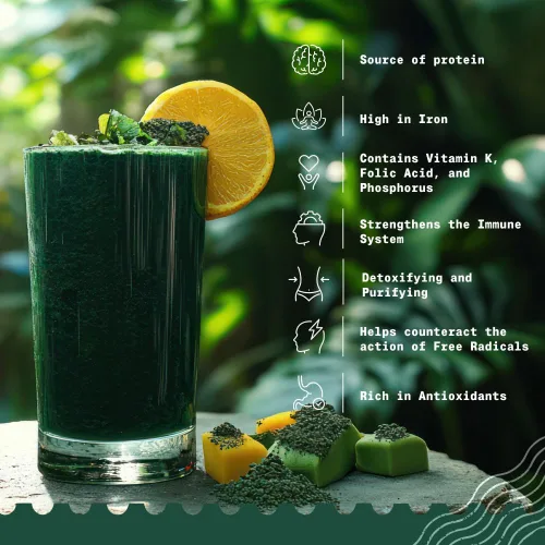 Miniatura 3 de NaturaleBio Polvo de espirulina orgánico 1 libra de algas espirulina en polvo natural y crudo. Vegano y puro. Cultivado en la India en Tamil Nadu.