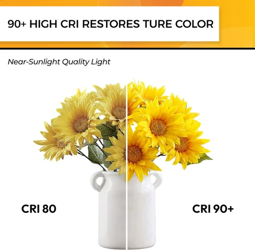 Miniatura 5 de Hizashi - Focos de candelabro LED E12, B11 tipo B, regulables, equivalente a 60 W, 5,000 K, luz diurna, 90+CRI, 6 W, 550 lúmenes, certificación UL