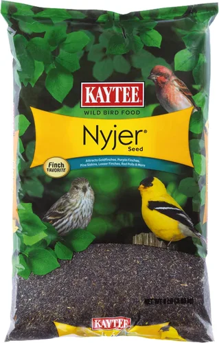 Miniatura 13 de Kaytee Nyjer - Semilla de comida para pájaros silvestres, 3 libras