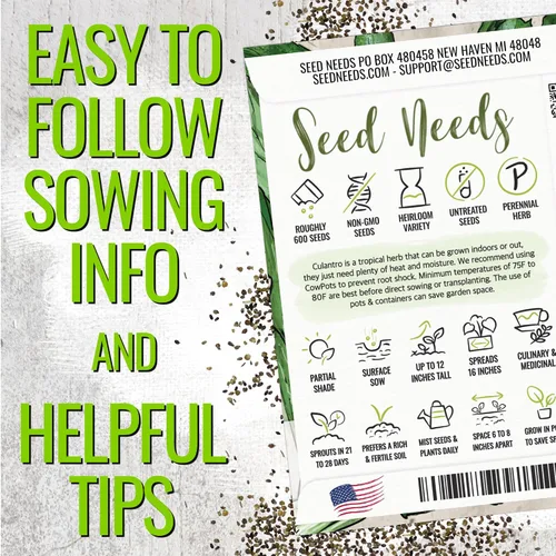Miniatura 4 de Seed Needs Semillas de culantro para plantar cilantro mexicano, reliquia sin OMG y hierbas culinarias/medicinales no tratadas para cultivar un
