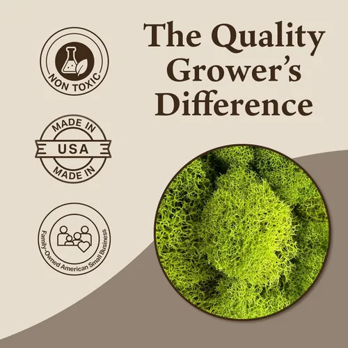 Miniatura 2 de Quality Growers - Musgo de reno preservado - Musgo para manualidades, decoración del hogar, arte, diseño y proyectos de bricolaje - No tóxico