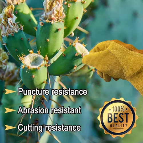 Miniatura 4 de Guantes de trabajo de cuero para hombre y mujer con forro de algodón, guantes grandes a prueba de espinas para jardinería de cactus, trabajo