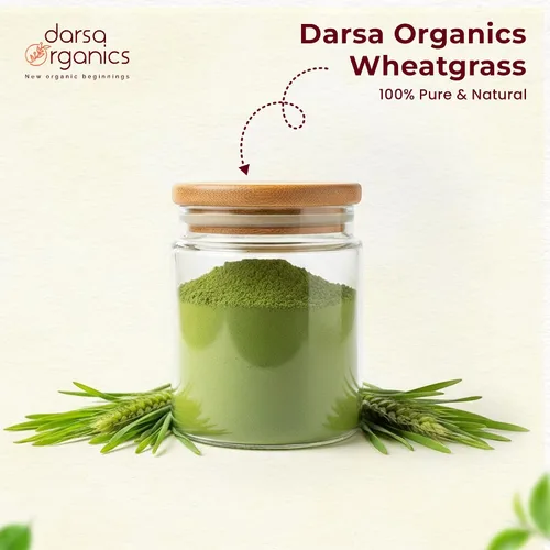 Miniatura 3 de Wheatgrass - Polvo de 1 libra – Hierba de trigo orgánica USDA de primera calidad, polvo verde molido fino para una mezcla suave, sin OMG, vegano