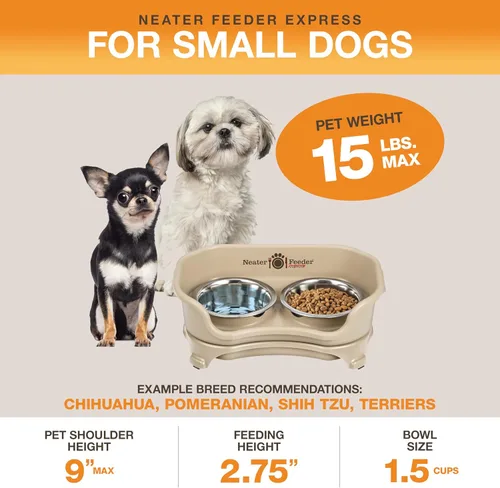 Miniatura 2 de Neater Feeder Express Tazones para Perros Elevados a Prueba de Desorden para Razas Pequeñas de Menos de 15 Libras, Fabricado en EE.UU., Soporte