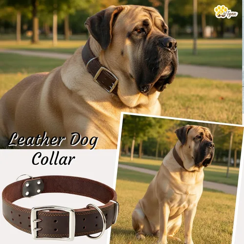 Miniatura 3 de ADITYNA Collar grande de cuero para perro, collar de perro XXL para razas gigantes como mastín (gigante: cuello de 30 a 36 pulgadas, marrón)