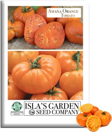 Amana Semillas de tomate herencia de bistec naranja para plantar, más de 50 semillas tradicionales por paquete, semillas sin OMG, (semillas de
