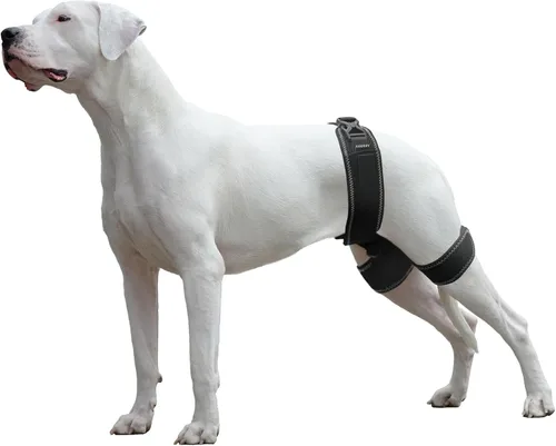 Miniatura 6 de Soporte de cadera para perro – Arnés de apoyo para displasia de cadera, alivio del dolor en las articulaciones, evita problemas