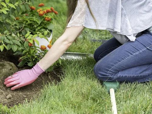 Miniatura 4 de Jokari Las rodilleras de jardín permiten que tu jardinero se arrodille tan cómodamente como una alfombrilla de jardinería. Almohadilla de espuma