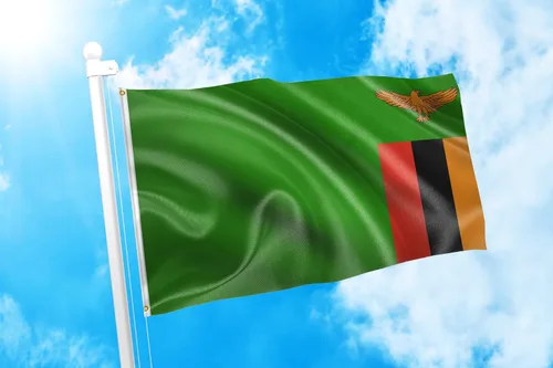 Miniatura 246 de DMSE Bandera de Sierra Leona 3X5 Pies 100% Poliéster Bandera 100D 47-91 x 152 cm