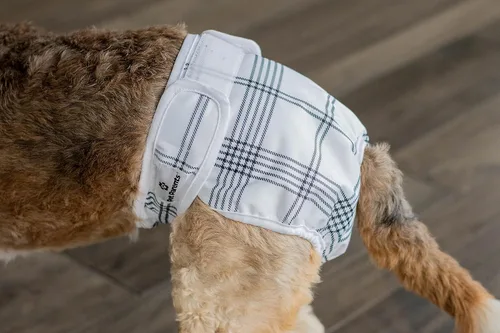 Miniatura 8 de Pet Parents - Pañales y extensores lavables de calidad prémium para perros, paquete de 3 pañales para perras hembras, color: Luxe, tamaño: L