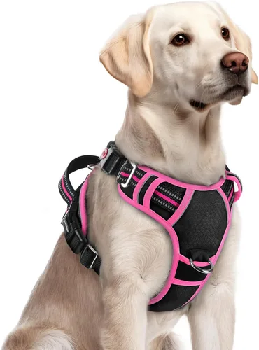 Miniatura 36 de rabbitgoo Arnés para perro de tamaño pequeño, chaleco para perro sin tirones con 3 hebillas, arnés ajustable y acolchado suave para mascotas con asa
