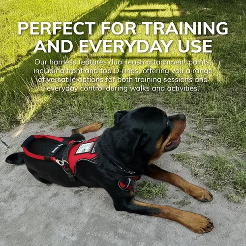 Miniatura 5 de ActiveDogs - Arnés para perro de servicio, ajustable, sin tirones, para perros pequeños, con parche para perro de servicio, asa, ventana