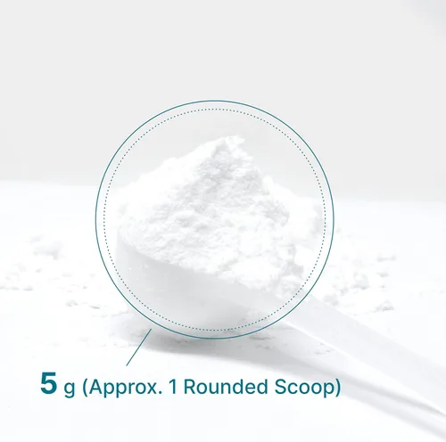 Miniatura 6 de Polvo de Monohidrato de Creatina Instantánea, 5g Por Porción – 120 Porciones Micronizado, Sin Sabor, Fórmula de Absorción Rápida Apoya