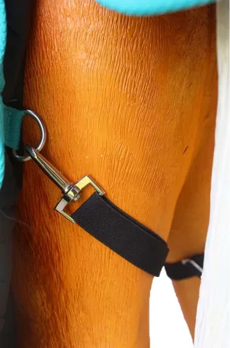 Miniatura 2 de Manta de invierno de 36" 1200D para potro, poni, caballo pequeño, asno recién destetado Teal 51945