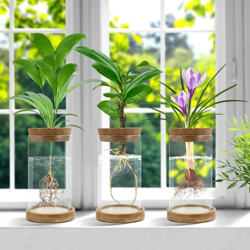 Miniatura 3 de Estaciones de propagación de plantas, paquete de 3 terrarios de plantas, tarros de propagación de vidrio hidropónicos para plantas