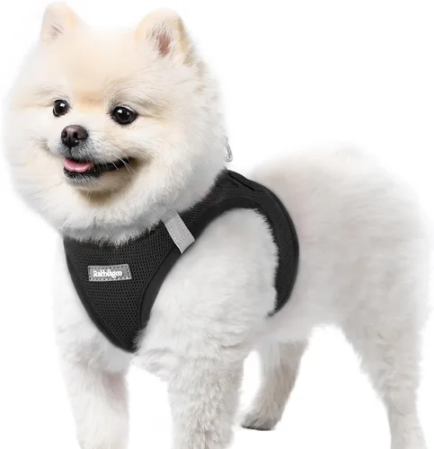 Miniatura 114 de rabbitgoo Arnés para perro pequeño, chaleco de malla suave para cachorros con hebilla de seguridad, arnés reflectante transpirable para mascotas