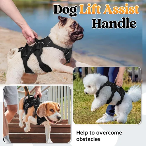 Miniatura 3 de rabbitgoo - Arnés para perros a prueba de fugas, arnés para mascotas acolchado y suave de cuerpo completo, arnés reflectante ajustable sin tirones