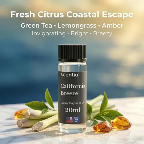 Miniatura 3 de Aceite Difusor de Hotel Scentia Inspirado en el Aroma del Hotel Delano Beach Club - 20 mL 0.67 fl oz - Mezcla de Aceites Esenciales Naranja, Té