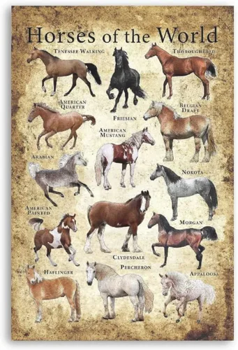 Cartel de metal con diseño de caballos del mundo Knowledge, decoración de pared, póster de hojalata vintage, tipos de caballos, cocina de campo,