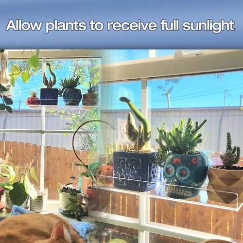 Miniatura 6 de Paquete de 2 cajas de ventana de acrílico de 12 pulgadas, estantes para plantas, con extensor de alféizar de ventana con ventosa, para suculentas