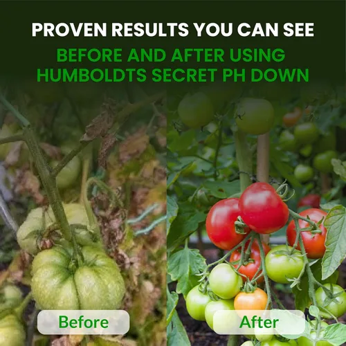 Miniatura 6 de Humboldts Secret pH Down para Plantas Ajustador y Equilibrador de pH Líquido para Suelo, Coco, Hidroponía Solución Concentrada de Ácido