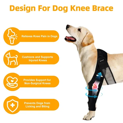 Miniatura 2 de Rodillera para perro para desgarro del ligamento cruzado anterior, pierna de perro para patas delanteras y traseras traseras, soporte elástico