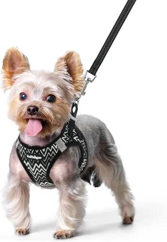 Miniatura 148 de rabbitgoo Juego de arnés para perro de tamaño pequeño y correa, chaleco ligero suave para cachorro, arnés de malla transpirable para mascotas