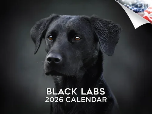 Miniatura 10 de Calendario 2025 2026 de cachorros Cocker Spaniel - Calendario mensual de pared de raza de perro - 12" x 24" abierto - Papel grueso sin sangrado