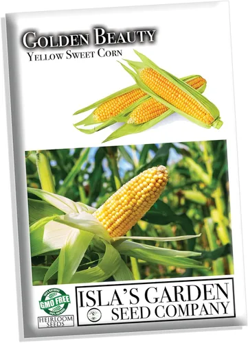 Miniatura 5 de Golden Beauty - Semillas de maíz amarillo (Zea mays) – Más de 100 semillas tradicionales sin OMG por paquete de Isla's Garden Seeds, dulces