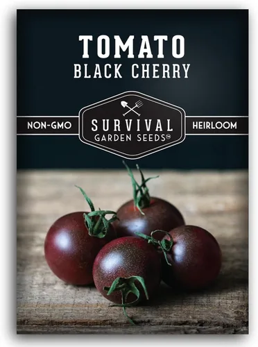 Semillas de tomate cereza negra para plantar – Variedad indeterminada de reliquia sin OMG – Cultiva altos rendimientos de tamaño de morada profunda,