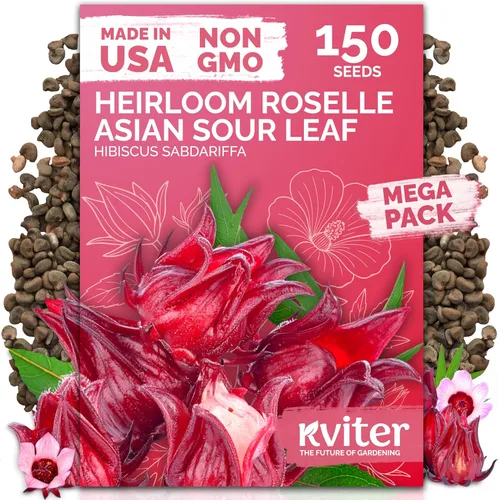 Miniatura 37 de KVITER 325 semillas de tomates gigantes (Solanum lycopersicum) – Filete de ternera paquetes de semillas de tomate – Tomates tradicionales – Semillas
