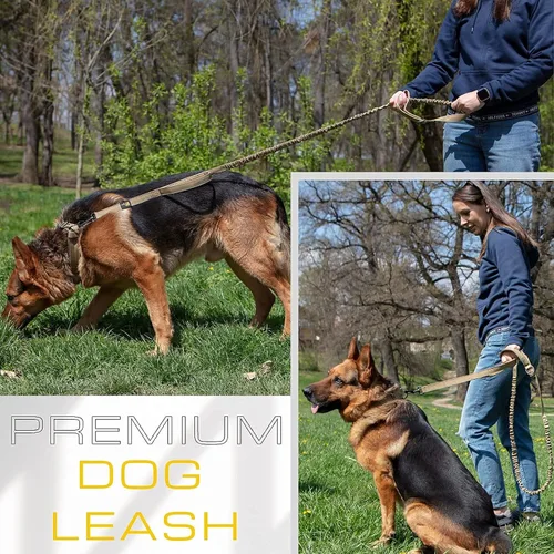 Miniatura 5 de ADITYNA Correa táctica elástica para perro de 6 pies - 7.5 pies – Correa de absorción de golpes con 2 asas acolchadas, cierre de metal, cinturón