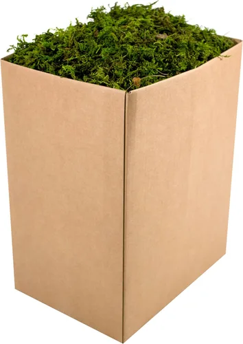 Miniatura 14 de SuperMoss Musgo forestal preservado perfecto para plantas de interior, manualidades y decoración, verde fresco, 4 onzas